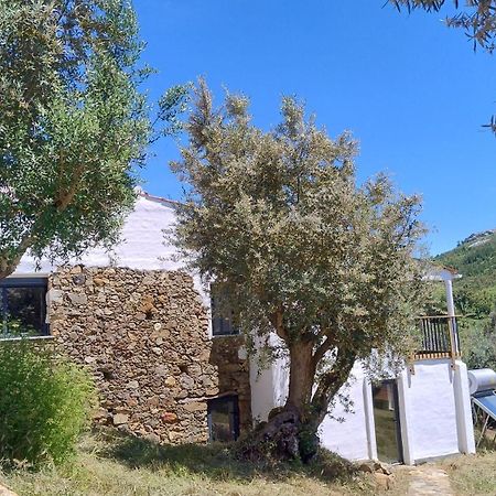 Bed and Breakfast Alegria Rustica 2 Rustic Happiness Envendos Esterno foto