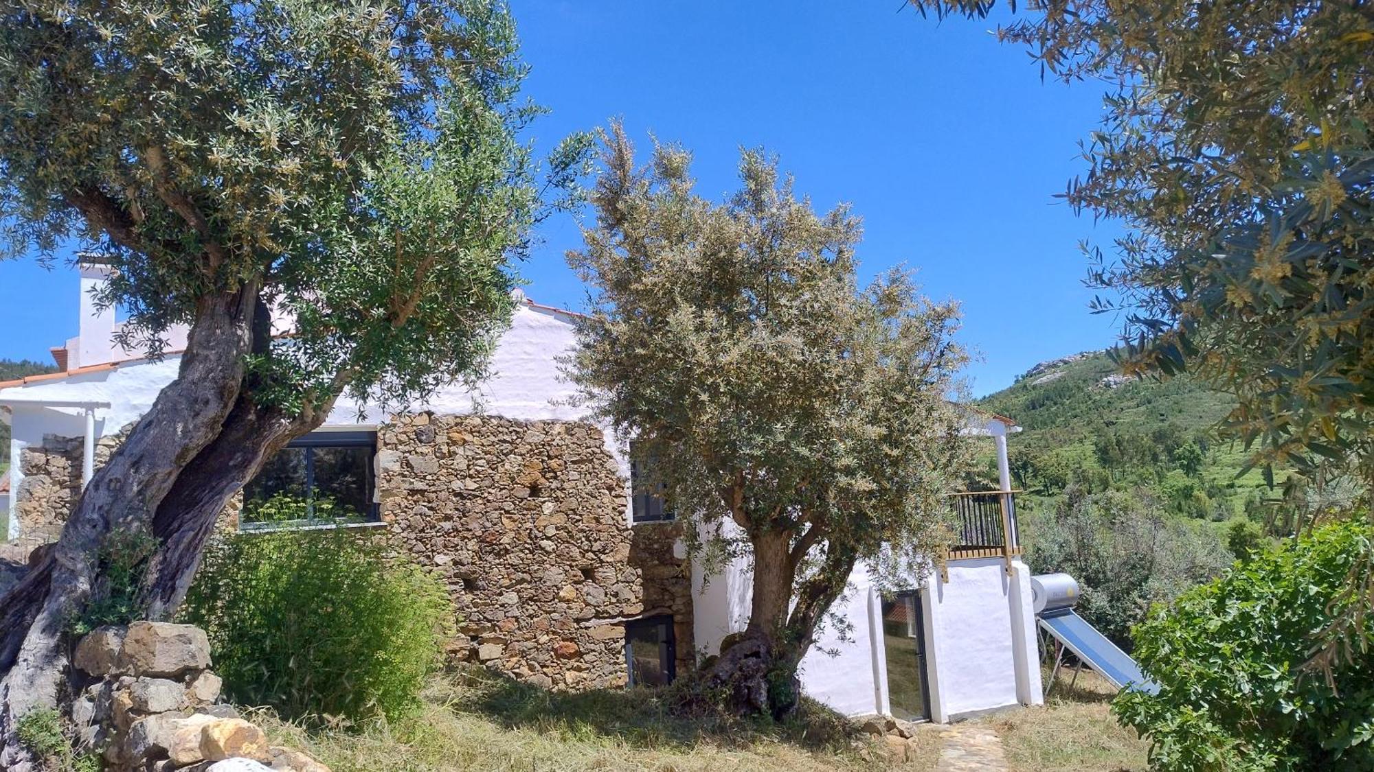 Bed and Breakfast Alegria Rustica 2 Rustic Happiness Envendos Esterno foto